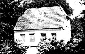 Gaden 9
