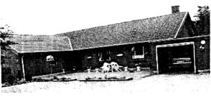 bakkevej11
