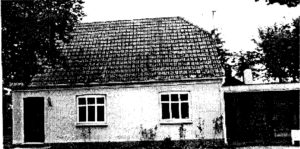 bakkevej13
